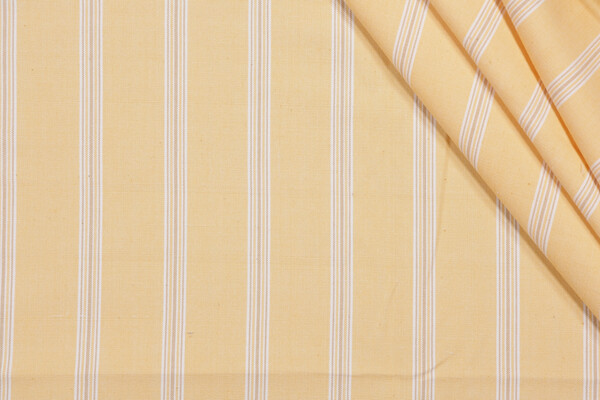 Fonthill Maine Woven Decorator Fabric in Harvest