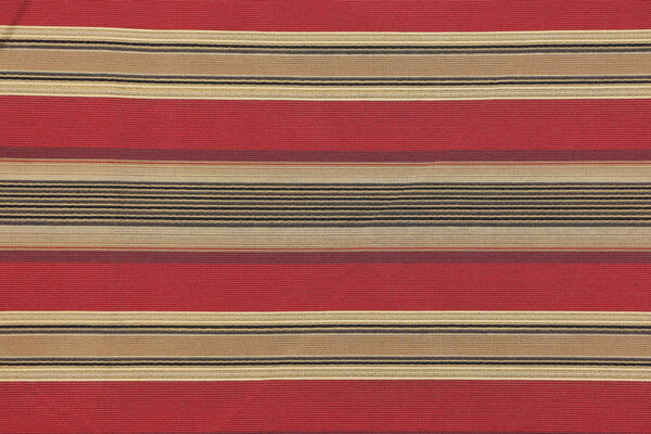 Birdie Stripe Woven Decorator Fabric in Jewel