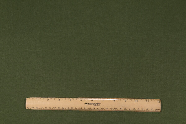 Richloom Veranda Woven Polyester Outdoor Fabric in Hunter