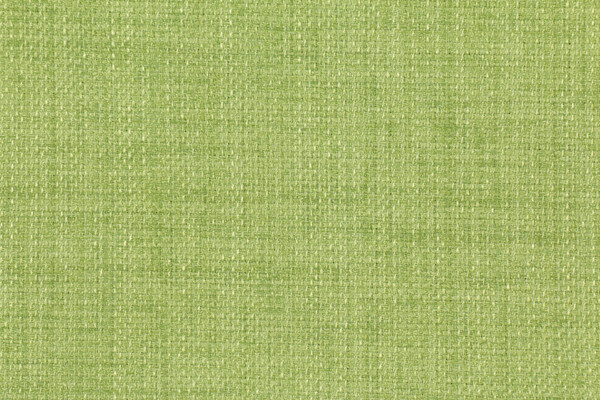 Richloom Rave Woven Polyester Outdoor Fabric in Lawn