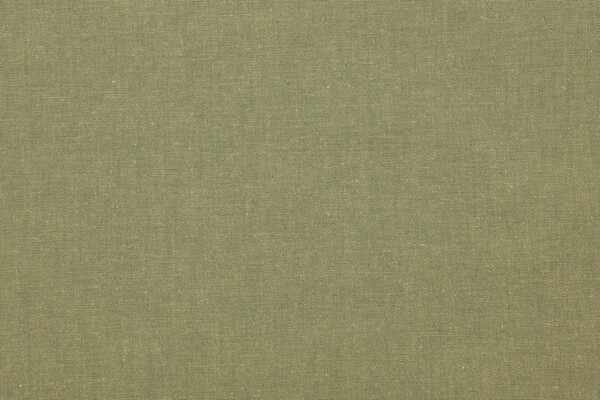 Scalamandre Woven Decorator Fabric in Olive