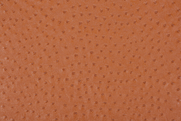 Scalamandre Struzzo Vinyl Upholstery Fabric in Brick