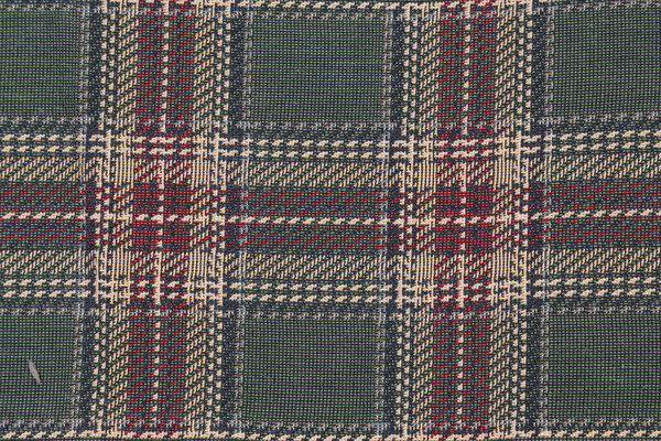 Scalamandre Oban Plaid Border 6'' Tapestry Border Fabric in Green