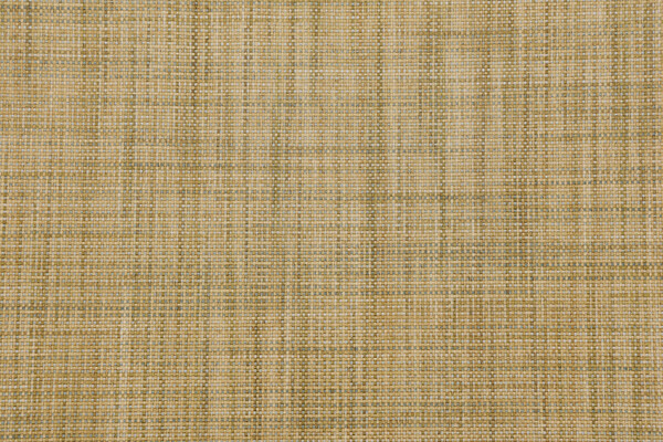 Crouse Woven Upholstery Fabric in Pear