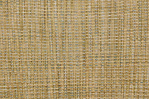 Crouse Woven Upholstery Fabric in Pear