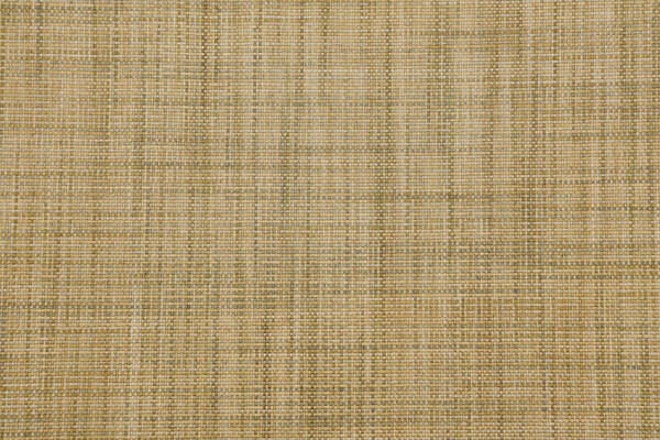 Crouse Woven Upholstery Fabric in Pear