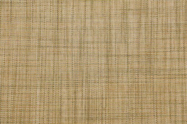 Crouse Woven Upholstery Fabric in Pear