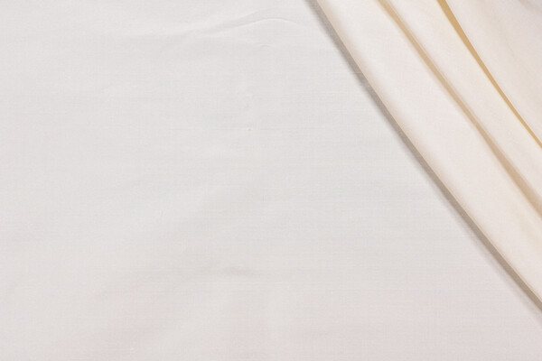 Titan Silk Decorator Fabric in Dehli Ivory