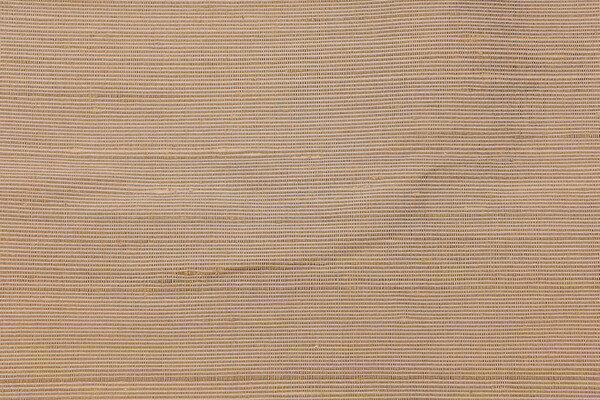 Sakhom Silk Decorator Fabric in Toast