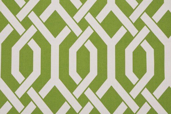 P Kaufmann Trellis Printed Polyester Outdoor Fabric in Green