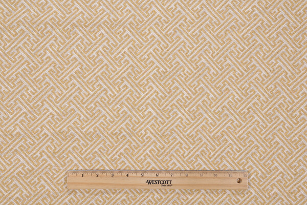 Catcher Woven Upholstery Fabric in Sundrop