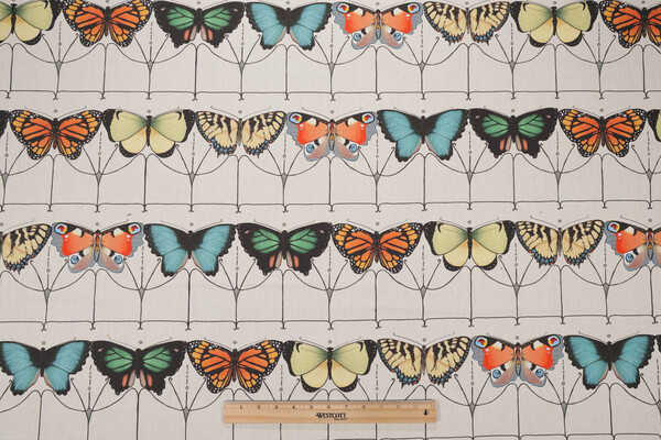 Hamilton Papillon Printed Cotton Drapery Fabric in Carnival 