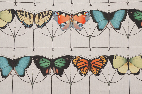 Hamilton Papillon Printed Cotton Drapery Fabric in Carnival 