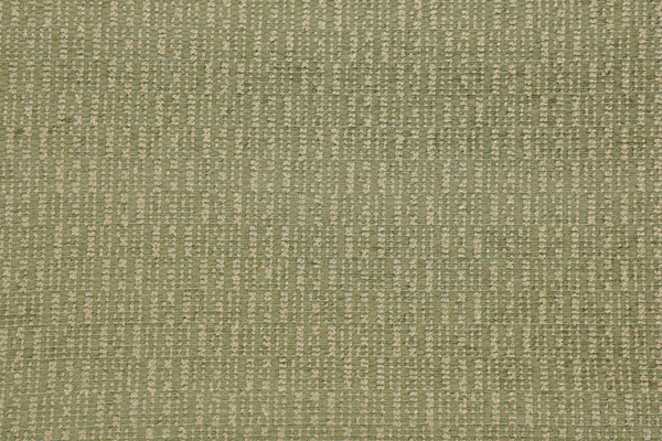 Novak Woven Chenille Upholstery Fabric in Leaf