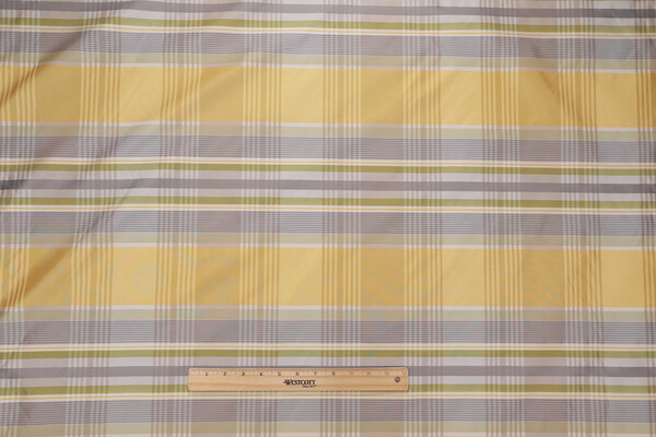 Tarrytown Woven Decorator Fabric in Spring