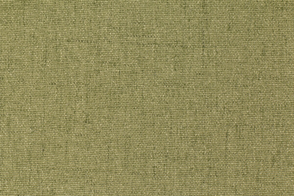 Designer M9881-52103 Stabilizer Backed Upholstery Fabric in Kiwi