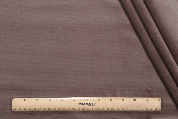 P Kaufmann Merit High Performance Velvet Upholstery Fabric in Stone