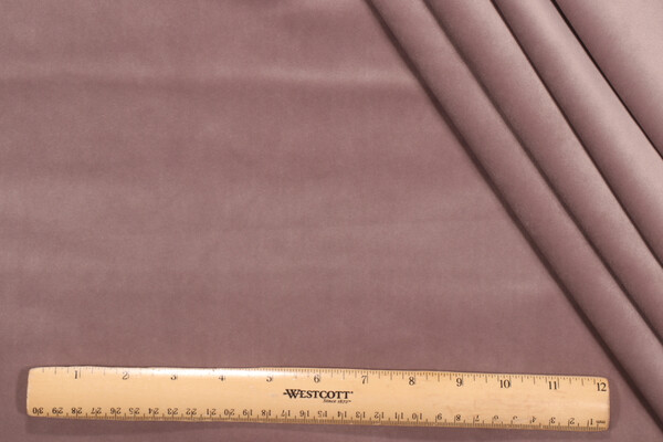 Covington Vitani Velvet Upholstery Fabric in 670-Mink