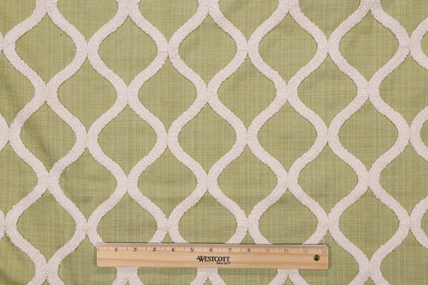 Mill Creek DNA Embroidered Drapery Fabric in Grass