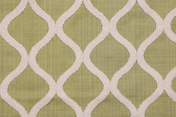 Mill Creek DNA Embroidered Drapery Fabric in Grass