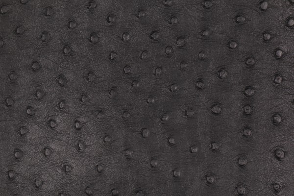 Sample of Ostrich Embossed Vinyl Upholstery Fabric in Black 