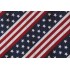 Richloom Major Printed Polyester Outdoor Fabric in Americana 