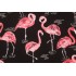 Tempo Terrasol Flamingo Printed Polyester Outdoor Fabric in Black 