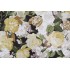 P Kaufmann Lisbeth Printed Cotton Drapery Fabric in Moonglow 