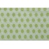 Lillian August Home Bianca Woven Solution Dyed Acrylic Outdoor Fabric in Kiwi for Terrasol 