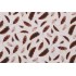 Timeless Treasures Floating Feathers Printed Cotton Craft Fabric in Cream 