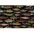 Fabrics Of SoHo Cabin Rules - Fish Printed Cotton Craft Fabric in Black for Timeless Treasures 