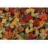 Fabrics of SoHo Fall Is In The Air - Metallic Fall Leaves Printed Cotton Craft Fabric in Black for Timeless Treasures 