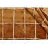 P Kaufmann Avenue Velvet Upholstery Fabric in Amber 