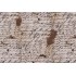 Tim Holtz Laboratory - Formula Printed Cotton Craft Fabric in Neutral for Free Spirit 