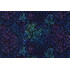 Chong-A Hwang Fabrics of SoHo Wildcat - Packed Swirly Leaves Printed Cotton Craft Fabric in Blue for Timeless Treasures