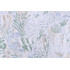Premier Prints Seascape - Slub Canvas Printed Cotton Drapery Fabric in Kelby