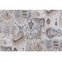 Magnolia Home Jambi Printed Cotton Drapery Fabric in Desert 