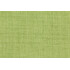 Richloom Rave Woven Polyester Outdoor Fabric in Lawn