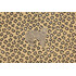 Jaguar Tapestry Upholstery Fabric in Gold/Black 